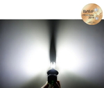 Светодиодные автолампы CARLAMP Night Vision H4 (10555)