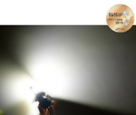 Светодиодные автолампы Carlamp LED H4 Night Vision Gen2 5500K(10563)