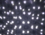 НОВОГОДНИЙ УЛИЧНЫЙ ЛАЗЕРНЫЙ ПРОЕКТОР X-LASER XX-SNOW (10638)