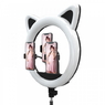 Кольцевая Ring Light CAT RK-45 (11329) Кольцевая Ring Light CAT RK-45 (11329)