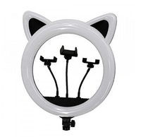 Кольцевая Ring Light CAT RK-45 (11329) 
