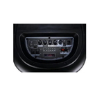 Колонка портативная с микрофонами Temeisheng TMS-1210 12" (11658)