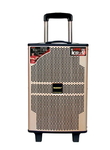 Портативная колонка с микрофонами Temeisheng QX-1020 300W(11665)