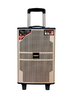 Портативная колонка с микрофонами Temeisheng QX-1020 300W(11665)