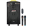 Колонка акумуляторная Temeisheng QX-1214 комбоусилитель акустика USB/FM/Bluetooth(11666)
