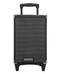 Аккумуляторная Bluetooth колонка Temeisheng A8-2T 8" 100Вт с микрофоном (11668)