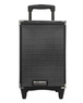 Аккумуляторная Bluetooth колонка Temeisheng A8-2T 8" 100Вт с микрофоном (11668)