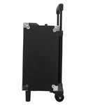 Аккумуляторная Bluetooth колонка Temeisheng A8-2T 8" 100Вт с микрофоном (11668)