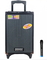 Аккумуляторная Bluetooth колонка Temeisheng A8-2T 8" 100Вт с микрофоном (11668)