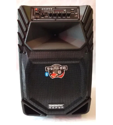 Акумуляторна Bluetooth колонка Temeisheng A12-8 12" 120Вт (11669)