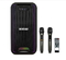 Автономная акустическая система SM-500 (2MIC+USB+MP3+BT) (11671)